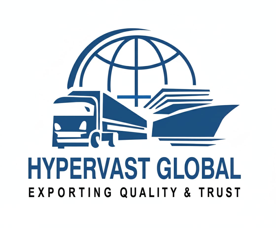 Hypervast Global Logo